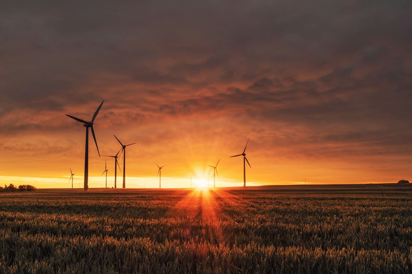 Wind turbines generating renewable power